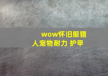 wow怀旧服猎人宠物耐力 护甲